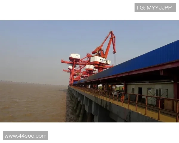 盐城大丰港战队崛起记：打造顶尖竞技实力 引领区域体育发展新潮流